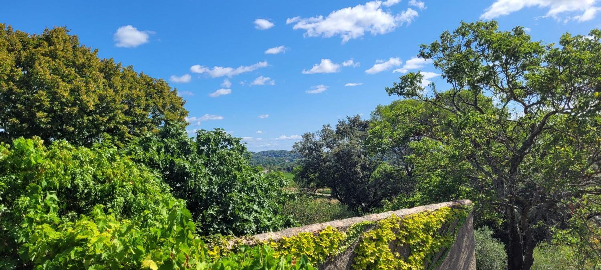Le Domaine Du Soulier -Gite Et Chambres D'Hotes - La Maison Du Gardien Tornac エクステリア 写真