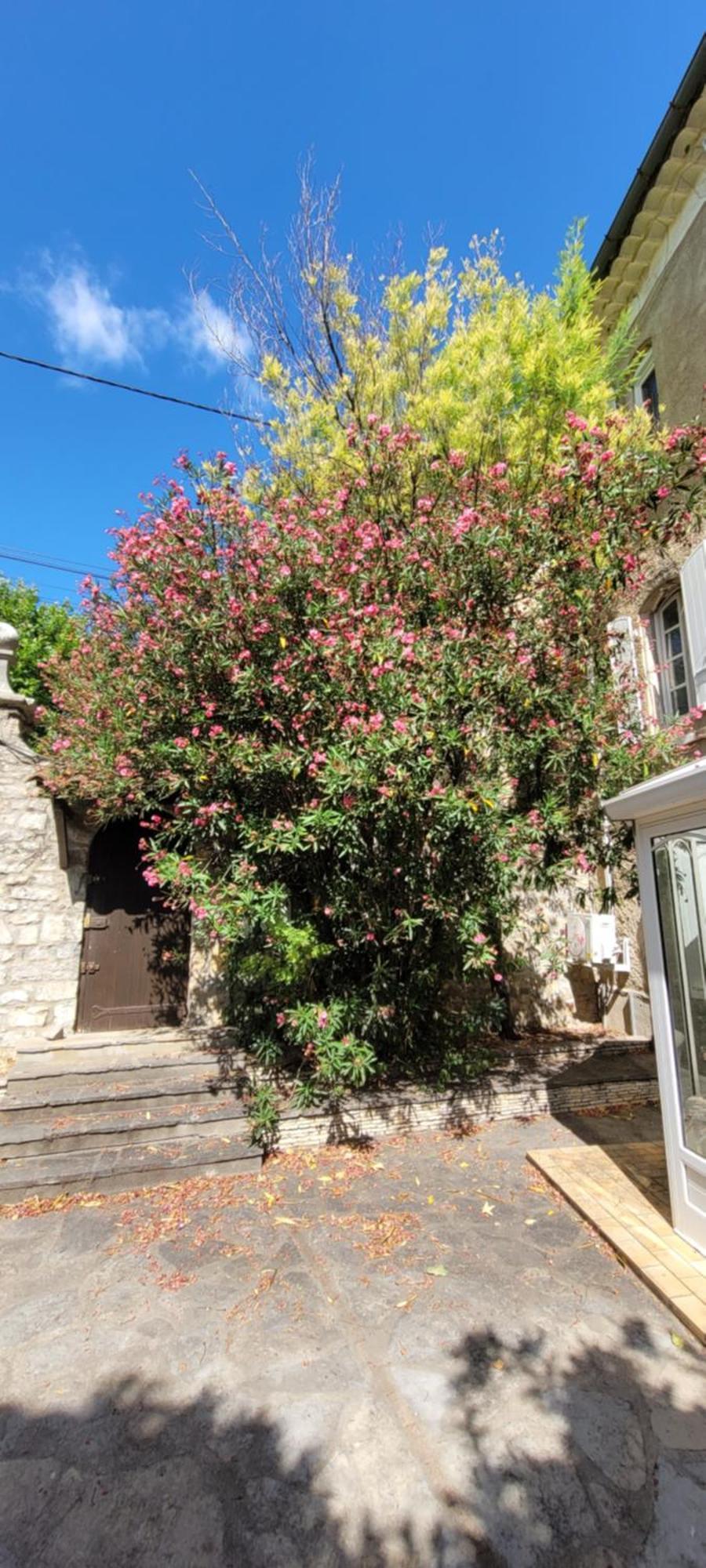 Le Domaine Du Soulier -Gite Et Chambres D'Hotes - La Maison Du Gardien Tornac エクステリア 写真