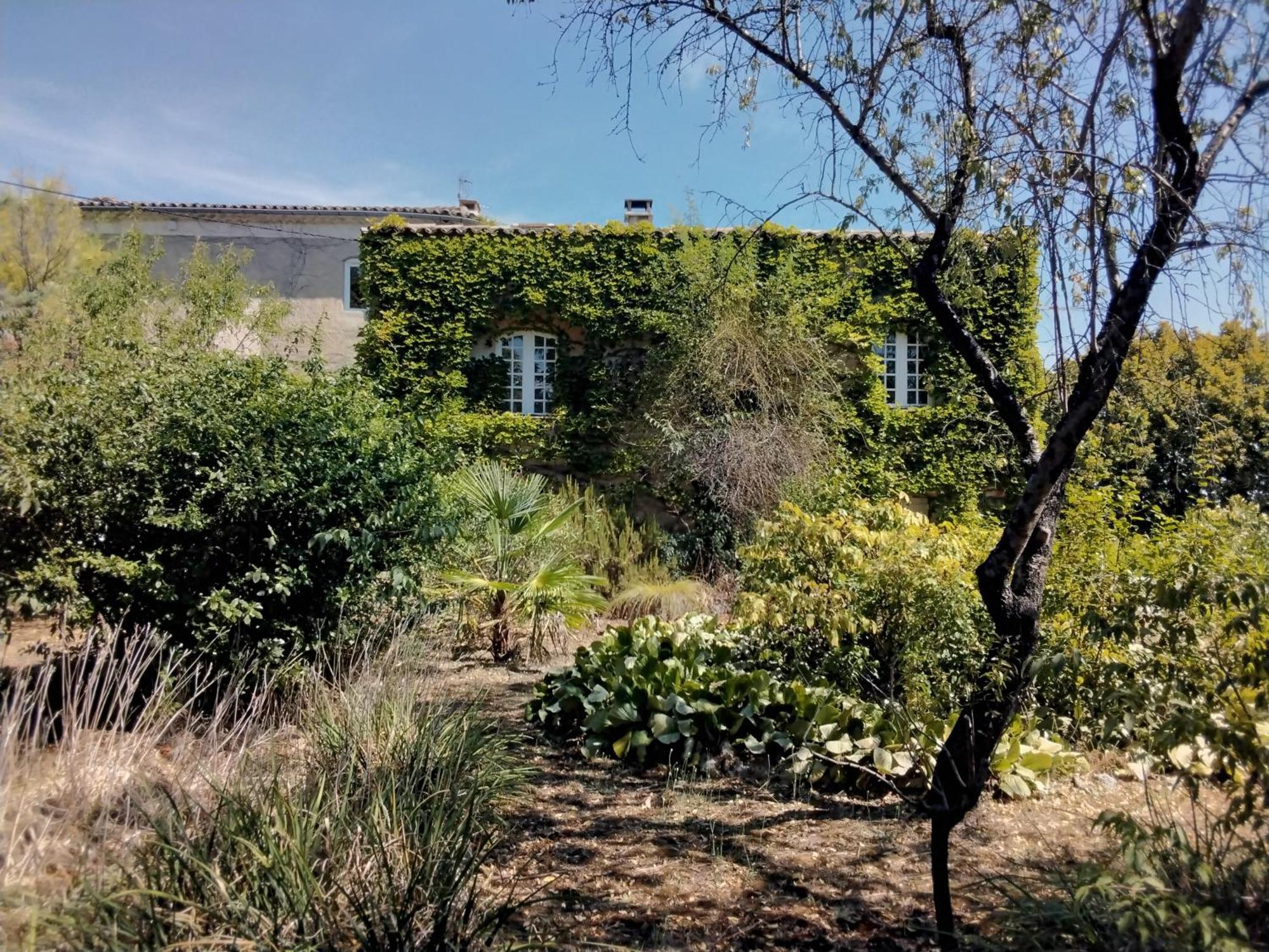 Le Domaine Du Soulier -Gite Et Chambres D'Hotes - La Maison Du Gardien Tornac エクステリア 写真